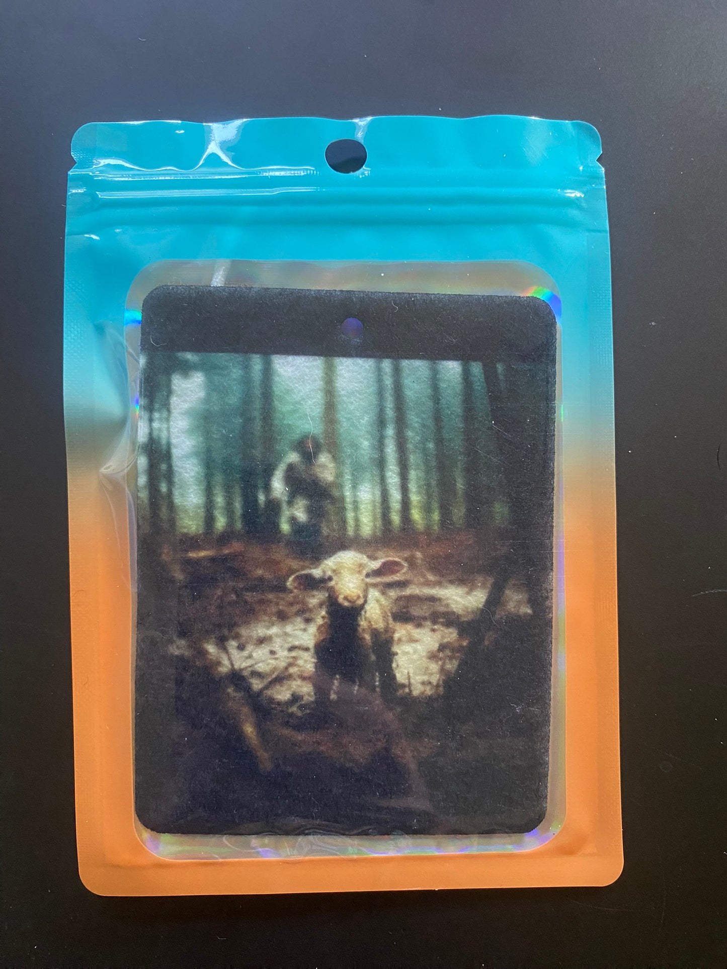 Jesus finding lost Lamb in Woods
