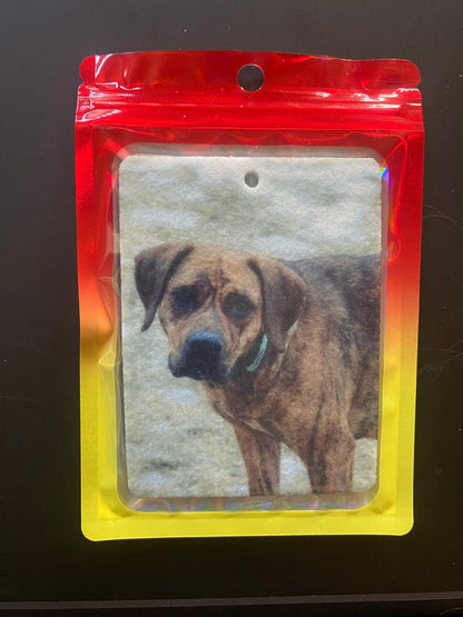 Dog - light brown brindle