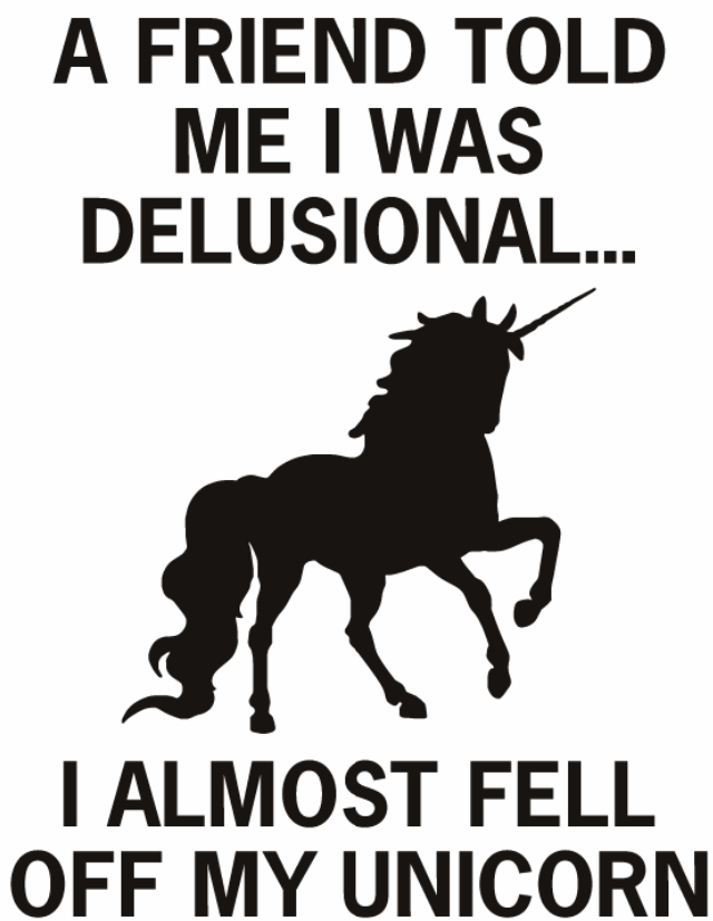 A Friend called me Delusional - I almost fell off my Unicorn