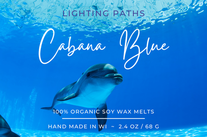 Wax Melts - clamshell